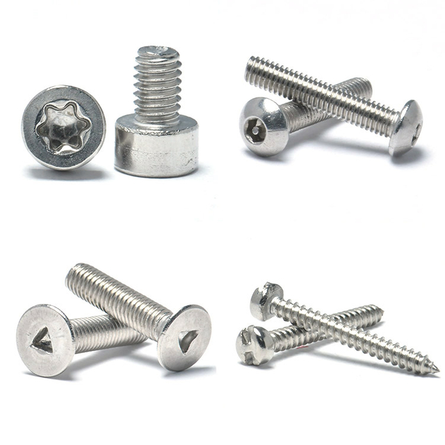 Stainless Steel 304 Security Screw Snake Eye Two Holes Pig Nose Screw Spanner